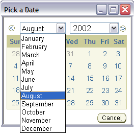 Date Picker - 12 Months Valid